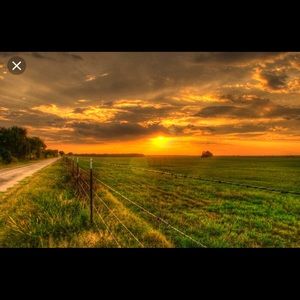 Meet your Posher, Angelica